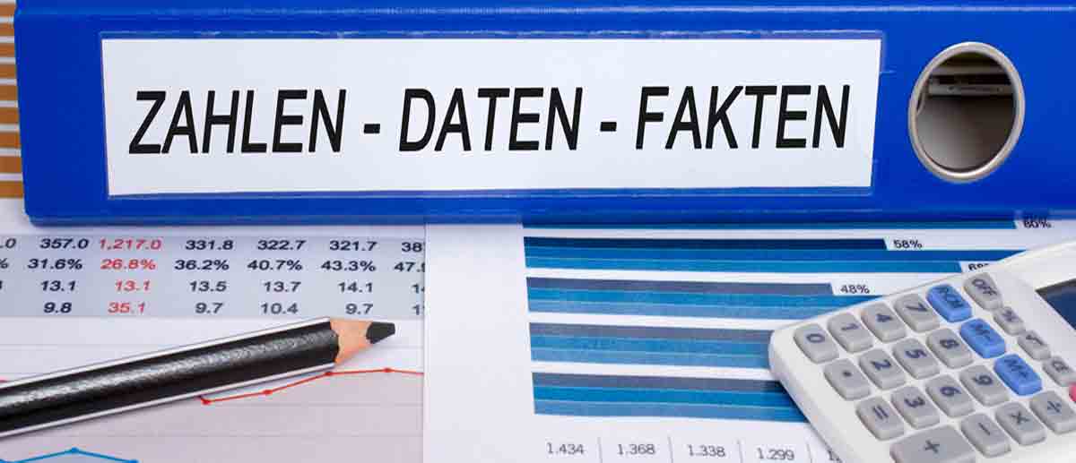 Aktenordner für die steuerlichen Vorteile einer GmbH - Zahlen, Daten, Fakten